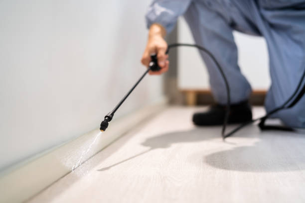 Licensed Mosquito Control service in Hopewell, VA - Show Me Pest Control