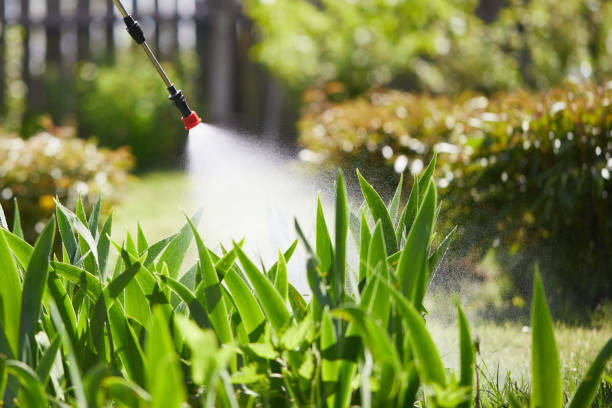 24/7 Emergency Mosquito Control experts in Hopewell, VA