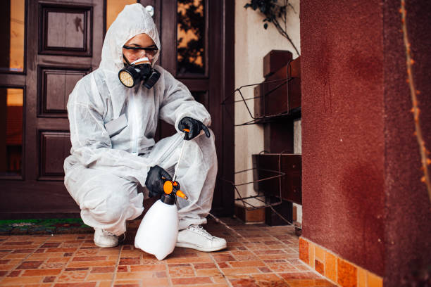 Reliable Mosquito Control contractor in Hopewell, VA by Show Me Pest Control