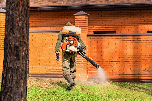 Top rated local Mosquito Control specialists in Hopewell, VA